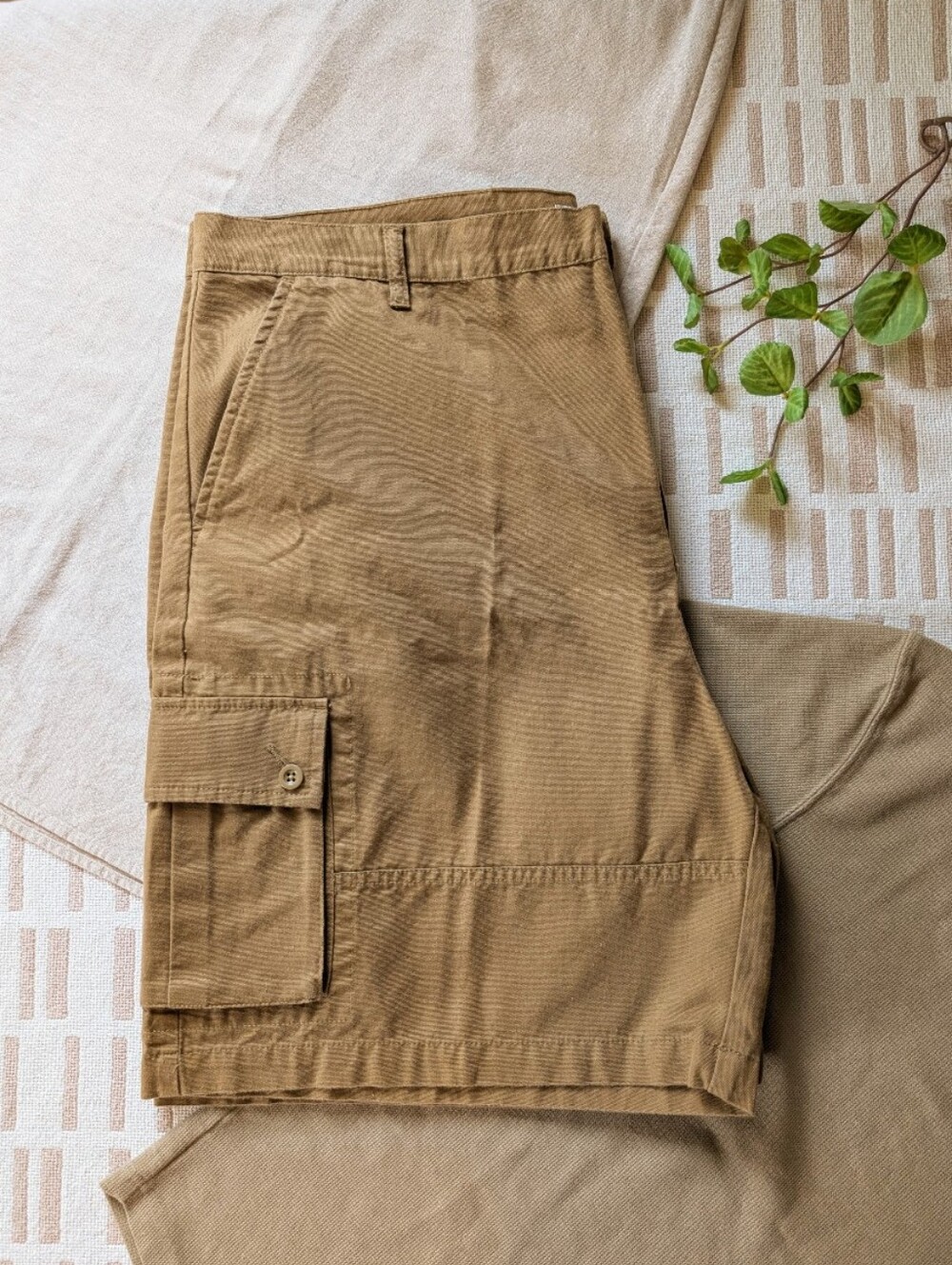 Covington | 42 | Cotton Canvas Shorts